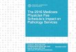 The 2016 Medicare Physician Fee Schedule’s Impact on …€¦ · The 2016 Medicare Physician Fee Schedule’s Impact on Pathology Services Jonathan L. Myles, MD, FCAP W. Stephen