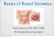 Basics of Bowel Ostomies - gwenrn.com€¦ · Basics of Bowel Ostomies Gwen Spector RN, BSN, COCN GI Ostomy Nurse Specialist Sunday, August 11, 2013. Definitions Colostomy: a surgically