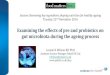 Examining the effects of pre and probiotics on gut ...d3hip0cp28w2tg.cloudfront.net/uploads/2016-12/... · Session: Reviewing key ingredients shaping nutrition for healthy ageing