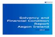 Solvency and Financial Condition Report Aegon Ireland and... · 2018-07-19 · This report is Aegon Ireland plcs ( ^Aegon Ireland _, ^the ompany _) ... and Delegated Acts 2015/35,