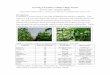 Growing Cucumbers within a High Tunnel - Purdue University Trial Reports/cu-ht_mo_05.pdf · Growing Cucumbers within a High Tunnel Lewis W. Jett1* and James Quinn2 Department of Horticulture,
