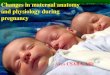 Changes in maternal anatomy and physiology during pregnancy · Physiological changes Metabolism VII. •Ca and P.: –Requirements are doubled during pregnancy –Satisfied by the
