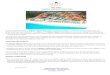 FACT SHEET MAJESTIC ELEGANCE PUNTA CANA - Spoiledspoiledagent.com/members/clients/majestic/Fact-Sheet... · 2017-03-15 · FACT SHEET MAJESTIC ELEGANCE PUNTA CANA Opened in November