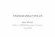 Financing SMEs in the UK - Portal da Indústriaarquivos.portaldaindustria.com.br/app/conteudo_18/2013/06/12/418… · Source: BIS, UK government . Risky business Source: Dun & Bradstreet