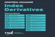 MONTRÉAL EXCHANGE Index Derivatives · The movement of stock market indices is a key component of financial news. Investors’ interest in stock market indices largely results from