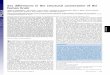 Sex differences in the structural connectome of the human brain6.s085/papers/sex-differences.pdf · 2014-01-29 · Sex differences in the structural connectome of the human brain