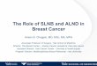 The Role of SLNB and ALND in Breast Cancere-syllabus.gotoper.com/_media/_pdf/SOBO13_Mod3_1000... · 2013-11-09 · The Role of SLNB and ALND in Breast Cancer Anees B. Chagpar, MD,