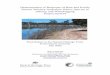 Determination of Response of Rare and Poorly …...Determination of Response of Rare and Poorly Known Western Australian Native Species to Salinity and Waterlogging Project 023191