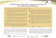 Climate-Smart Agriculture in Mozambique · mulching, direct seeding and manure/livestock waste management), there is a need to systematically integrate mitigation into agricultural