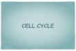 CELL CYCLE - bogari.netbogari.net › Bogari › Principle_files › 9-Cell Cycle.pdf · Cell cycle • The period between successive mitoses is known as the interphase of the cell