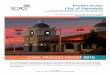 LOCAL PROFILES REPORT 2019 - Pages - HomeProfile of the City of Palmdale Southern California Association of Governments (SCAG) Regional Council includes 69 districts which represent