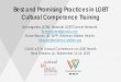 Best and Promising Practices in LGBT Cultural Competence ... 2019 - Best and Promising...Best and Promising Practices in LGBT Cultural Competence Training liz margolies, LCSW, National