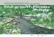 Old-growth Forests in Italy. A thematic contribution …...1 Old-growth Forests Introduction – Old-growth Forests in Italy Italy is characterized by a high degree of environmental