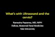 What's with Ultrasound and the cervix?childrens.memorialhermann.org/uploadedFiles/_Library_Files/Childre… · •Shortened cervical length before 24 weeks –CL between 15-25 mm