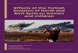 Effects of the Turkish invasion of North and East Syria on ... · Effets of the Turkish invasion of North and East Syria on omen and hidren 2. Women and children in modern warfare,