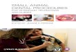 Small Animal Dental Procedures - Startseite · Canine Dental Chart 198 3. Feline Dental Chart 200 4. Dental Procedure Estimate 202 5. Dental Procedure Release Form 203 ... Aurora,