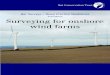 2nd Edition Surveying for onshore wind farmsmigratorysoaringbirds.undp.birdlife.org/sites/... · 2nd Edition Surveying for onshore wind farms Editor: Lisa Hundt Editorial board: Kate