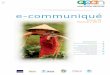 e-communiqué · Needs of Hindu Kush Himalayas This report captures the insights of recent knowledge products on climate change in the Hindu Kush Himalayan region. The key findings