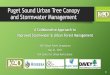 Puget Sound Urban Tree Canopy and Stormwater Management€¦ · 21-05-2019  · Puget Sound Urban Tree Canopy and Stormwater Management A Collaborative Approach to Improved Stormwater