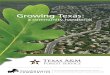 Growing Texas€¦ · GrowinG Texas: a communiTy handbook • 9 Ecosystem Services • Trees reduce stormwater runoff and help regulate stream flows • Trees improve air quality