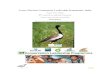 Lesser Florican Community Leadership Programme, India › ... › 12 › India_Lesser-Fl… · This Programme ‘Lesser Florican Community Leadership Programme in India’ aims to