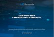 CAN YOU RISK CONNECTIVITY OUTAGE?€¦ · Can you risk connectivity outage? A new route to faster, more secure connections It goes without saying that faster and more secure connectivity
