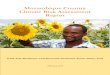 Mozambique Country Climate Risk Assessment Report€¦ · Mozambique Country Climate Risk Assessment Report Irish Aid, Resilience and Economic Inclusion Team, Policy Unit February,