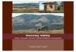 Rooney Book Cover - Lakewood · Rooney Valley. C. Provide natural areas, open lands, and amenities that contribute to the character of the Rooney Valley. 1. Guide and foster quality