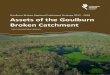 Goulburn Broken Regional Catchment Strategy 2012 - 2018 … · Goulburn Broken RCS 2012-2018 Assets of the Goulburn Broken Catchment 6 Figure 1: Current modeled tree cover extent