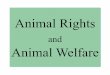 Animal Rights - Manchester UniversityStrong Animal Rights: (Regan’s position) Rights are extended to all mammals older than one year (and various other animals) because of their