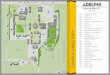 CAMPUS DIRECTORY - Adelphi University · 2017-06-27 · unc ruth s. harley university center wdh woodruff hall wlh waldo hall pg parking garage campus directory psx post hall annex
