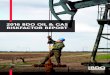 2016 BDO OIL & GAS RISKFACTOR REPORT€¦ · The 2016 BDO Oil & Gas RiskFactor Report examines the risk factors listed in the most recent SEC 10-K filings of the 100 largest publicly