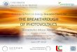 Massi Pavan - The breakthrough of photovoltaics - Summer ...€¦ · 2016 –No incentives 0.253 1,400.00 A. Massi Pavan, M. Chiandone, V. Lughi, G. Sulligoi Despite the attainment