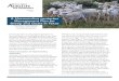 A Haemonchus contortus Management Plan for Sheep and Goats … › ... · 2018-04-23 · A Haemonchus contortus Management Plan for Sheep and Goats in Texas Rick Machen, Frank Craddock,