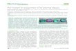 New Frontiers for Encapsulation in the Chemical Industrypublish.illinois.edu/.../files/2017/01/...Applied-Materials-Interfaces.pdf · technologies speciﬁcally relevant to the industrial