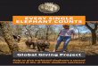 EVERY SINGLE ELEPHANT COUNT S - GlobalGiving · 2019-06-24 · good appetite. His surrogate mother, Lammie, also did much to comfort the little elephant that was exhausted and very
