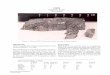 12021 - NASA · 12021. Pigeonite Basalt . 1876.6 grams . Figure 1: Photo of 12021,36 showing elongate pyroxene in broken surface. Introduction . 12021 is a porphyritic pigeonite basalt