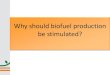 Why should biofuel production be stimulated?...Structure of the presentation • Biofuel production and markets • Evaluating environmental policy – Biogas from manure • Biofuel