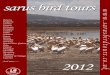 sarus bird tourssarus bird tours - Kenyabirding.comkenyabirding.com/files/brochure.pdf · Embassy concerned. is usually by minibus, driven by the tour leader or a local driver. Other