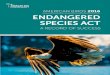 AMERICAN BIRDS 2016 ENDANGERED SPECIES ACT€¦ · public in determining how the Endangered Species Act (ESA) is performing in its goal of preventing extinction and recovering endangered