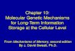 Chapter 10: Molecular Genetic Mechanisms for Long-Term ... ... From Mechanisms of Memory, second edition