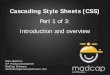 Part 1 of 3: Introduction and overviewassets.madcapsoftware.com/webinar/Presentation_NOV... · Cascading Style Sheets (CSS) Part 1 of 3: Introduction and overview . Presenter Information