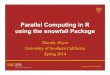 Parallel Computing in R using the snowfall Package Parallel Computing in R using the snowfall Package