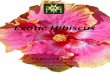 Exotic Hibiscus - Bill Moore & Co Hibiscus Catalog.pdfExotic Hibiscus Bill Moore & Co., Inc. PO Box 1587 Brandon, FL 33509 800.237.7794 813.689.6706 Cajun Hibiscus Bayou Rose Beau