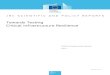Towards Testing Critical Infrastructure Resiliencepublications.jrc.ec.europa.eu/repository/bitstream... · Towards Testing Critical Infrastructure Resilience . European Commission