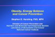 Obesity, Energy Balance and Cancer Preventionsuper7/30011-31001/30441.pdf · Stephen D. Hursting, PhD, MPH Division of Cancer Prevention and Nutrition and Molecular Carcinogenesis