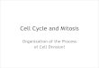 Cell Cycle and Mitosis - norwellschools.org · Stages of the Cell Cycle Mitosis is a short but important part of the Cell Cycle. Stages of Interphase • G 0 ... – DNA replication