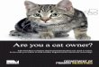 Are you a cat owner? - Hume City Council · 2015-01-23 · their owner’s property during certain hours. Under animal cruelty legislation, if you mistreat or fail to properly care