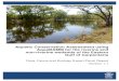 Aquatic Conservation Assessment using AquaBAMM for the ... · Aquatic Conservation Assessment using AquaBAMM for the riverine and non-riverine wetlands of the Eastern Gulf of Carpentaria:
