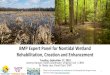 BMP Expert Panel for Nontidal Wetland Rehabilitation ......Restoration* 42 40 31 Varies by HGMR Creation 30 33 27 Report drainage area; if not, 1:1 for ^other wetlands; 1.5:1 for floodplain